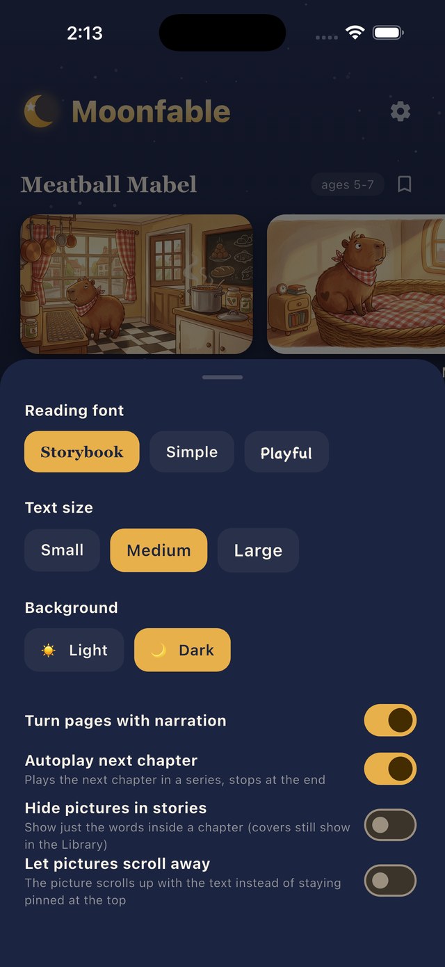 Reader settings: fonts, text size, dark mode, narration options